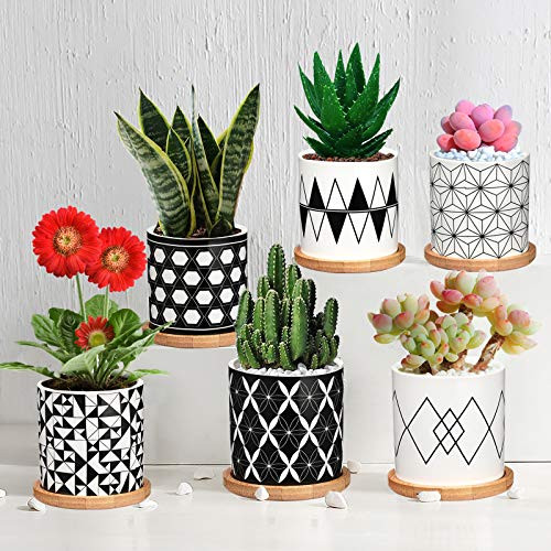 Plants NOT Included 【2021 New Upgraded】 Geometric Patterns Small Plant Pots Decor for Home and Office Succulent Pots 6 Pack,3 Inch Ceramic Planter with Drainage and Bamboo Tray
