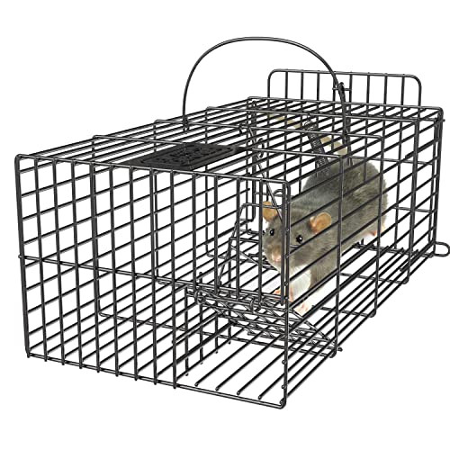 Snagshout  Black+Decker Rat Trap- Rat Traps Indoor & Outdoor- Humane Mouse  Trap Cage- Live Animal Trap for Squirrels Chipmunks and other Small  Rodents- Catch and Release No Kill Mouse Traps