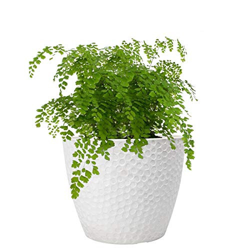 Snagshout | Outdoor Indoor Planters Flower Pots - 9.4 Inch Planter Pot