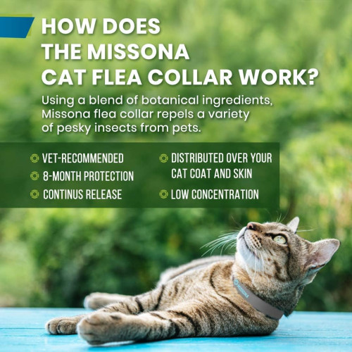 Misona Cat Collar for 8-Month Validity Period Adjustable Collars for Cat Kitten Collar Fits All Cats Pet Supplies