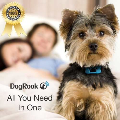 JeaTone Dog Bark Collar For Small To Medium Dogs - Beep & Vibration Modes With 7 Sensitivity Levels
